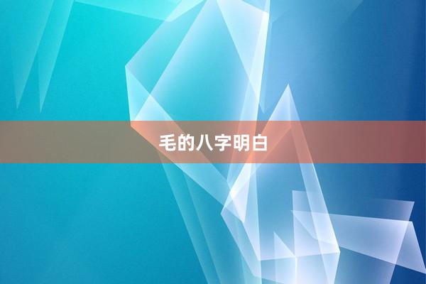 毛的八字明白